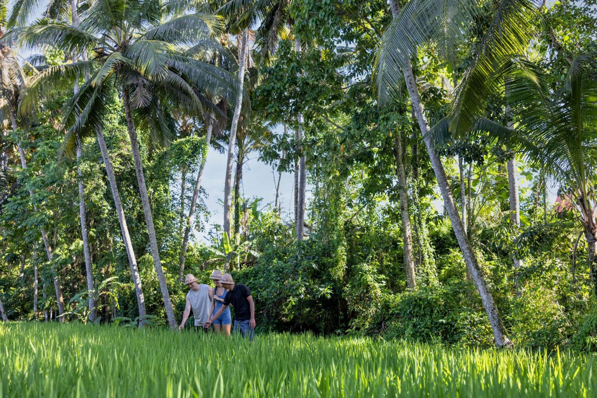 Kanhara Villas Ubud By Pramana Villas Zewnętrze zdjęcie